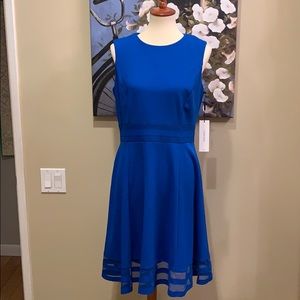 Calvin Klein dress size12 in royal blue NWOT